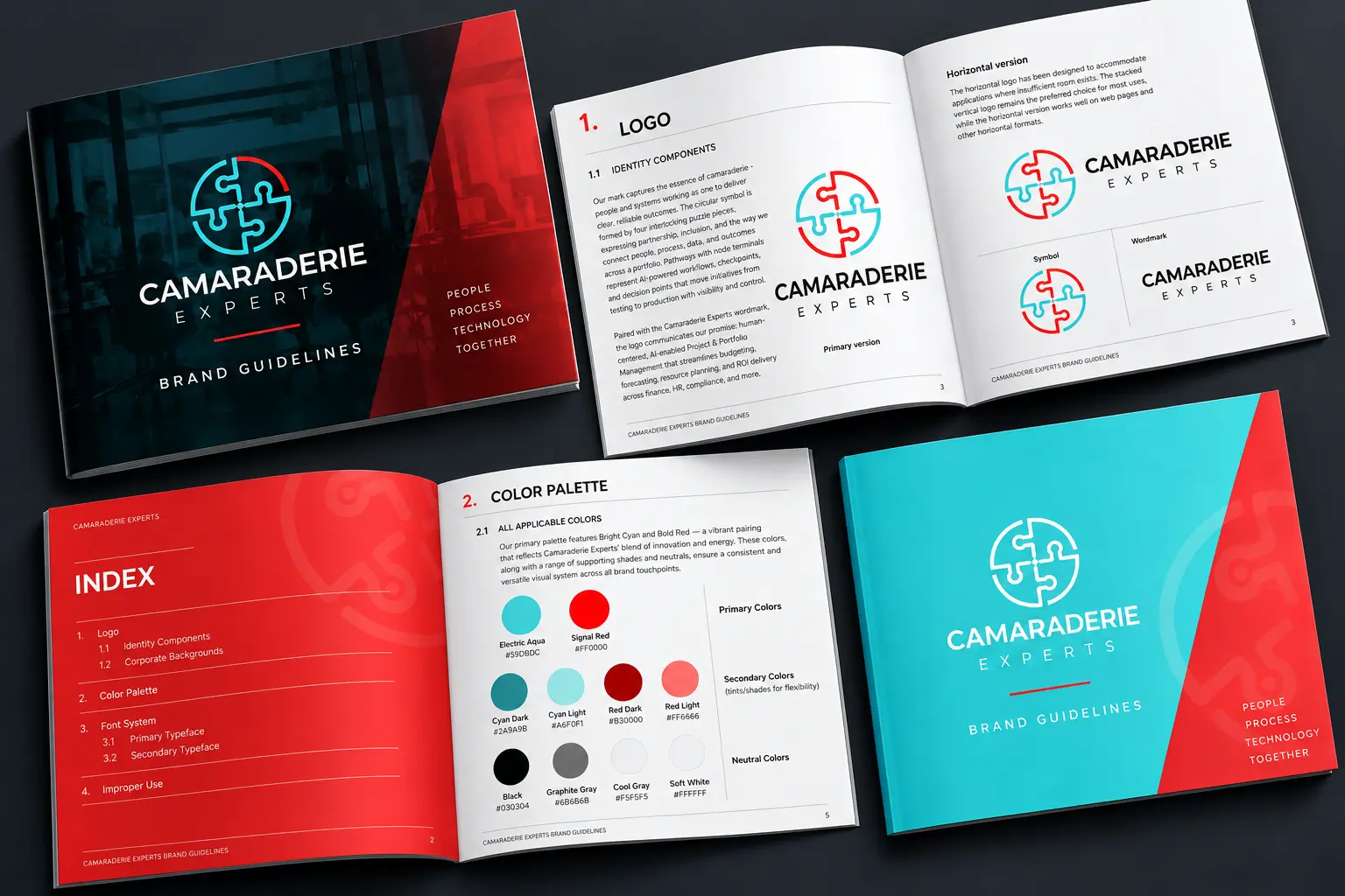 Cam Experts brand guide